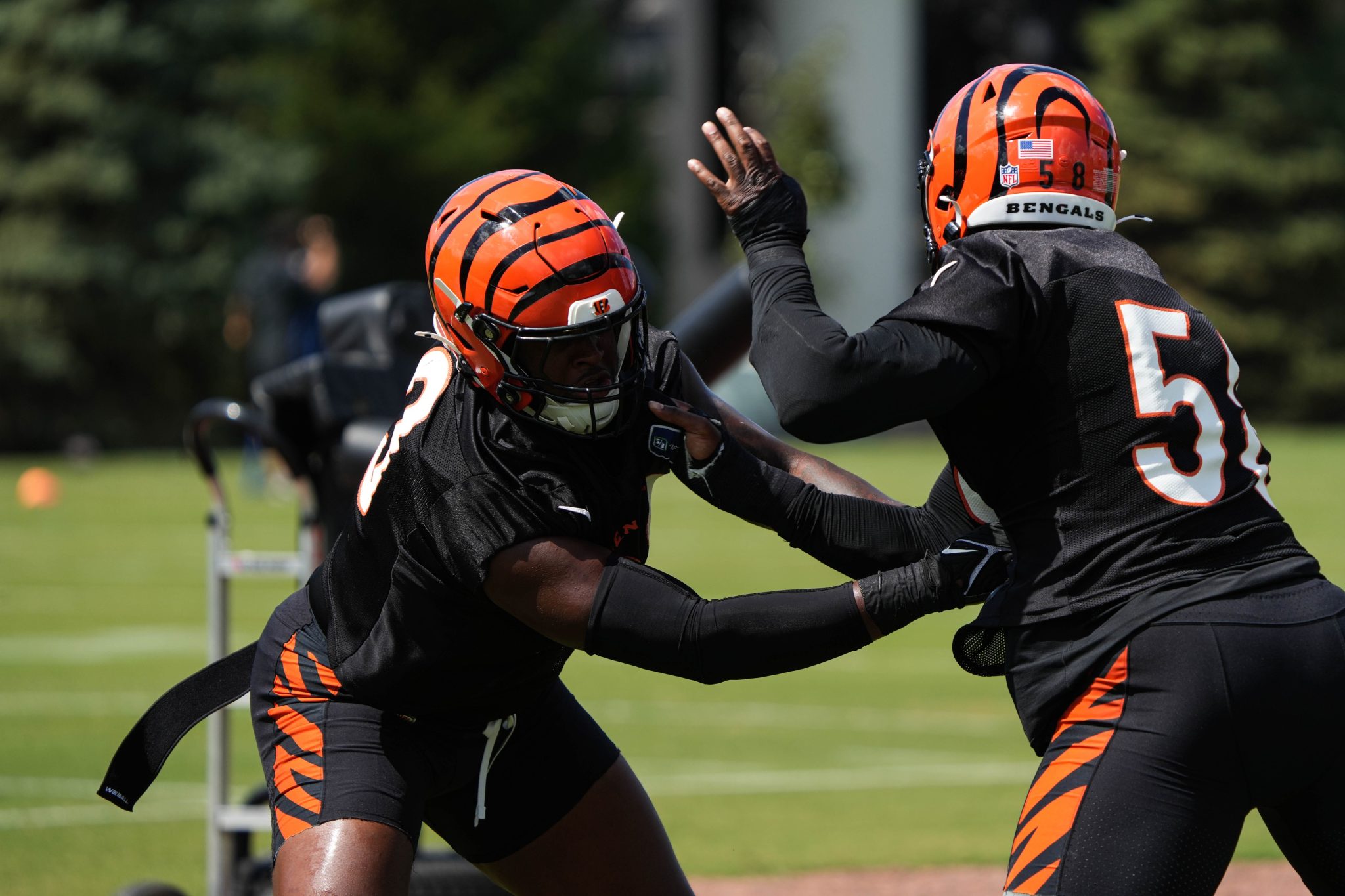 Cincinnati Bengals vs Cleveland Browns prediction