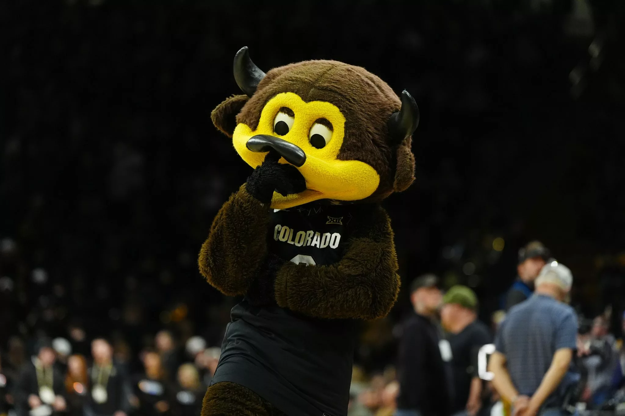 UCF vs. Colorado prediction